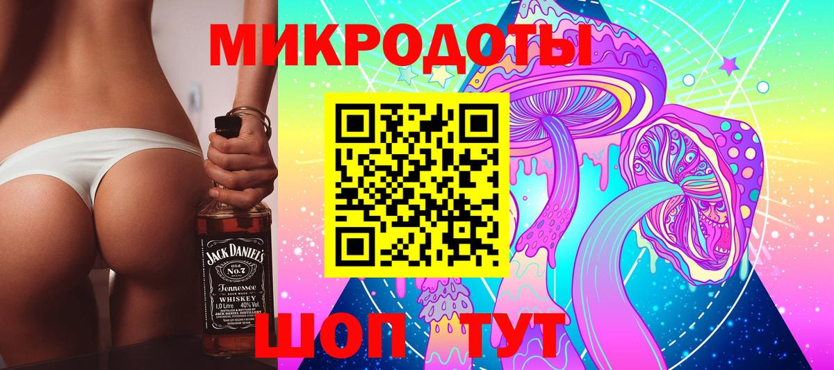 Псилоцибиновые грибы Psilocybe Елабуга