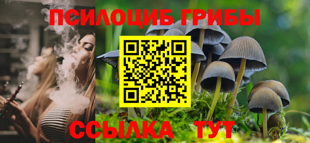 Елабуга  Псилоцибиновые грибы Psilocybine cubensis  Вход с VPN 