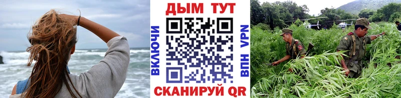 Бошки марихуана Amnesia Елабуга